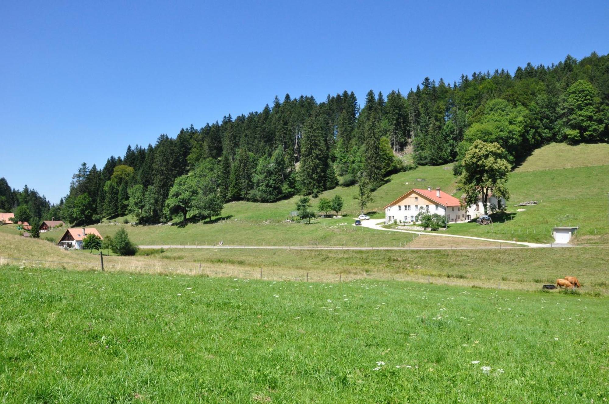 Апартаменти Relais De La Baume Ле-Локль Екстер'єр фото